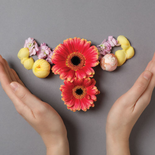 phenom programs female hormonal Individuals Facing Fertility Challenges 500x500 1